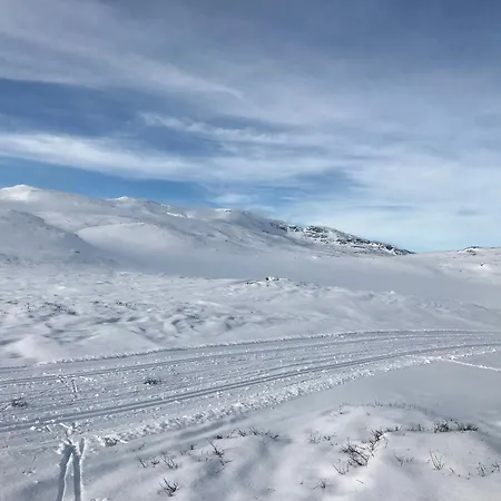 Architectural Gem With Views Of Hallingskarvet