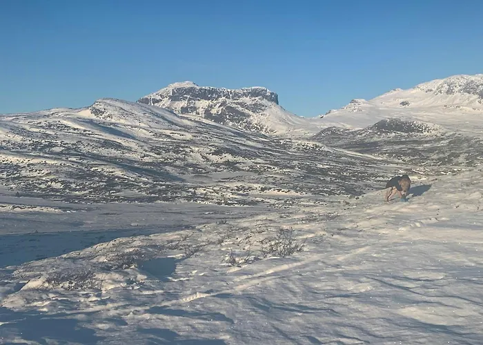 Дом отдыха Architectural Gem With Views Of Hallingskarvet *