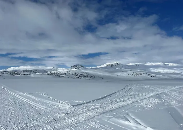 Architectural Gem With Views Of Hallingskarvet *